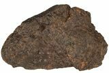 Chondrite Meteorite ( g) - Western Sahara Desert #222364-1